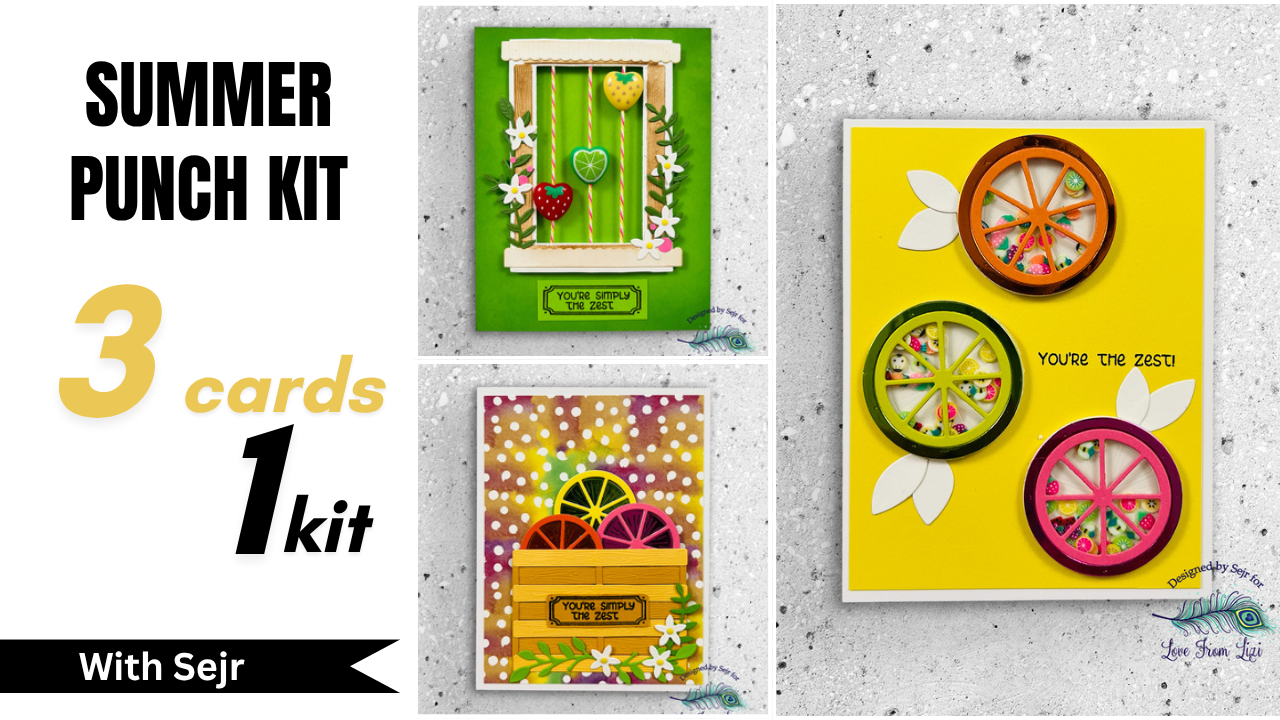 3 Cards | 1 Kit | June 2026 Summer Punch Card Kit with Sejr