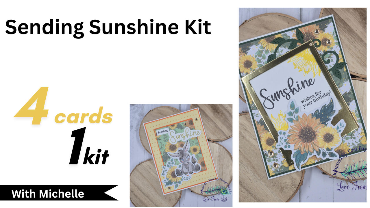 4 Cards | 1 Kit| Using the Sending Sunshine Card Kit