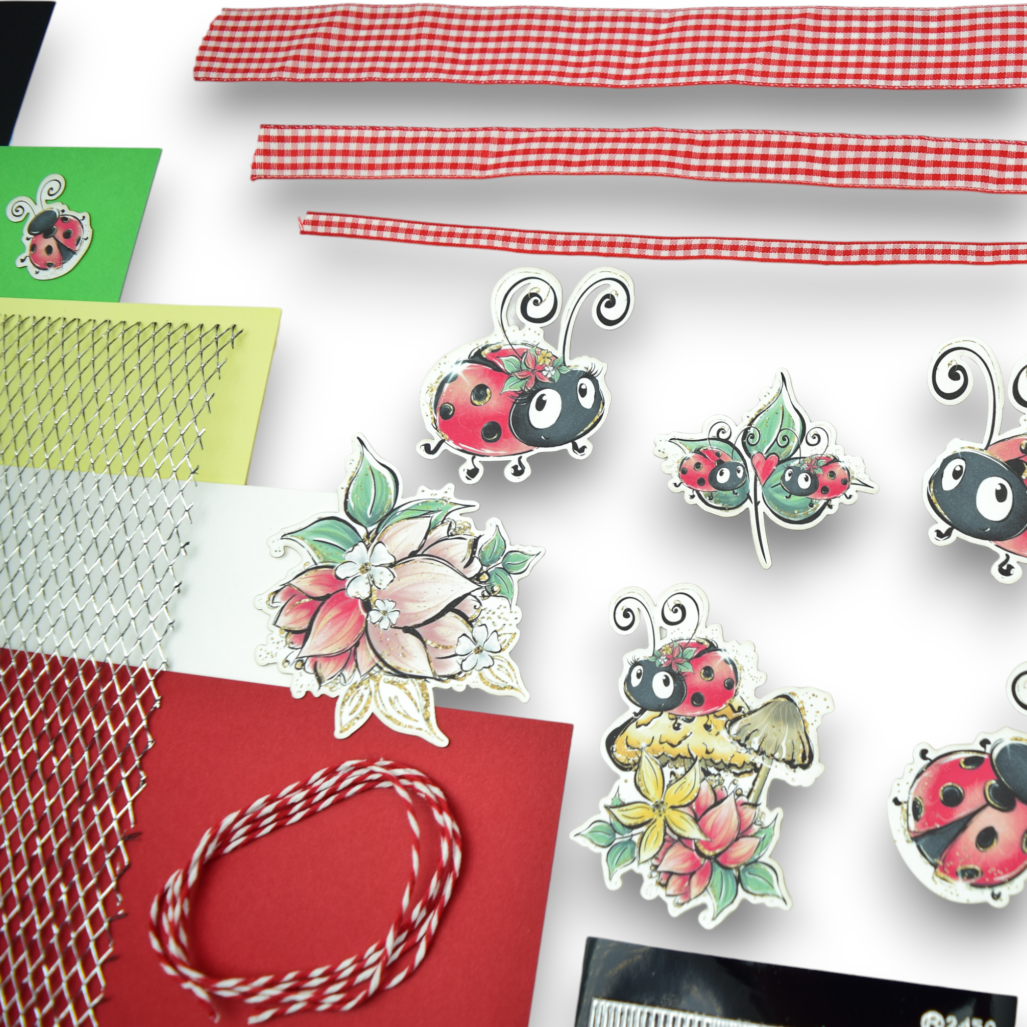 LFL January 26 Card Kit - Little Bug