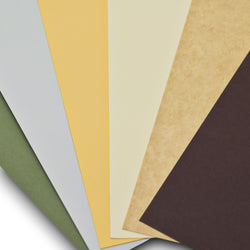 Fall Friends - Coloured Cardstock Bundle