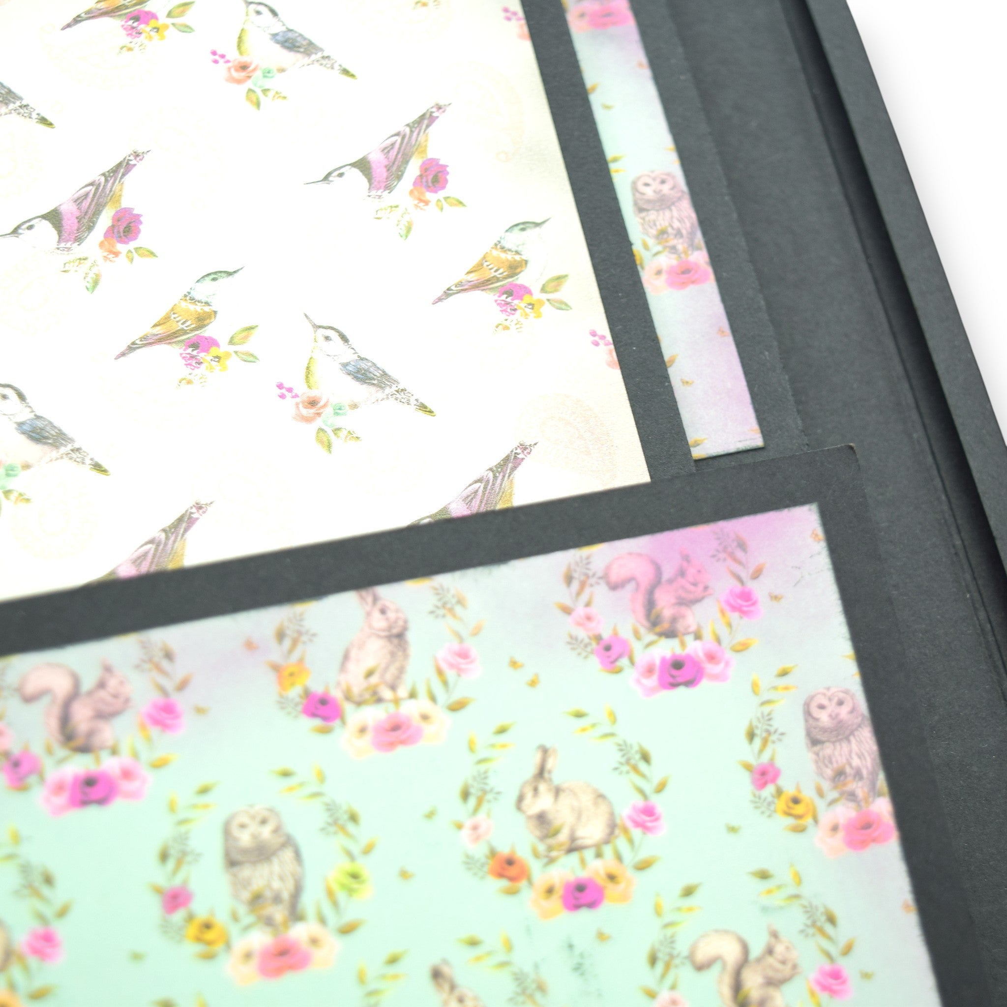 Flip-Flap-Folio - Class Kit & Virtual Lesson