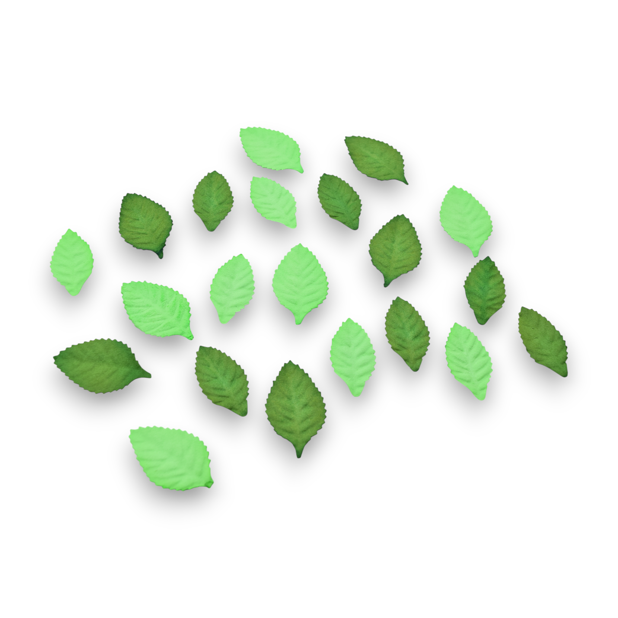 Embossed Green Leaves