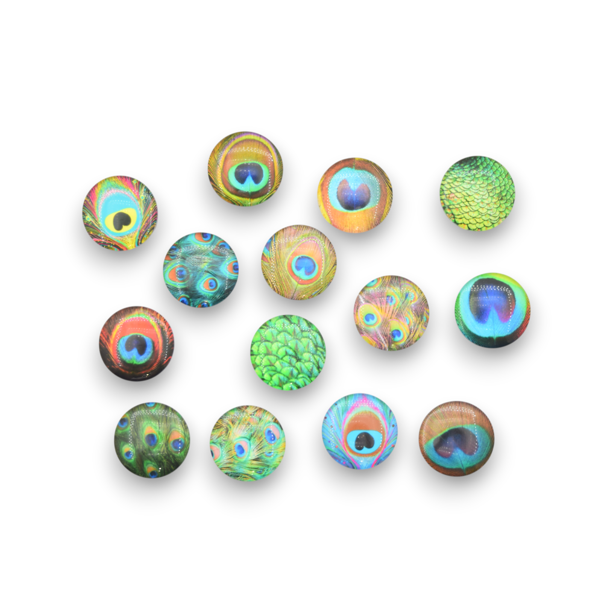 The Secret Garden Peacock - Cabochons
